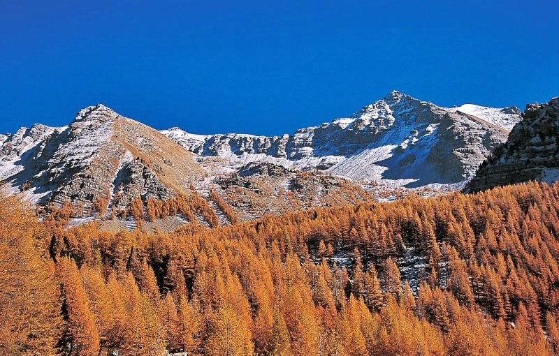 vallee des merveilles en automne