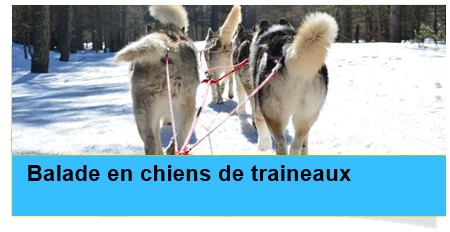 balade chiens traineaux casterino